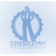 "Dzień otwarty dla dziewczyn" odbędzie się na PK w ramach akcji "Dziewczyny na Politechniki" 