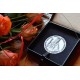 Srebrny medal „Cracoviae Merenti” dla Akademii Sztuk Pięknych