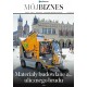 Materiały budowlane z... ulicznego brudu z Krakowa - rewolucyjny pomysł badaczek PK i KUL